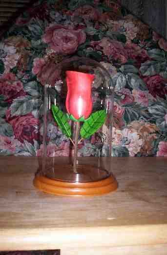 Rose under Glass